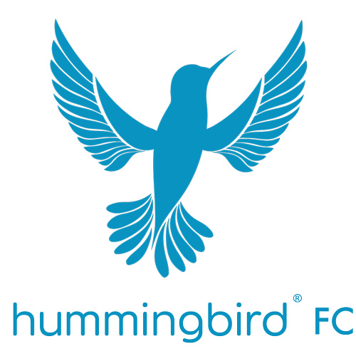 hummingbird FC Fan Controller logo