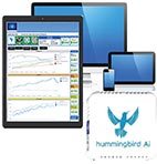 Hummingbird AI and Cloud access